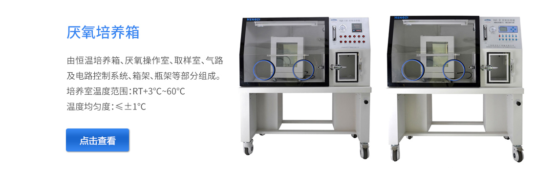 上海躍進厭氧培養(yǎng)箱